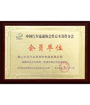 Member unit of Aftermarket Parts Branch of China Automobile Association